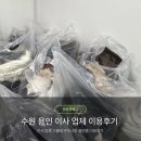 카페이사뭘 | 수원 용인 숨고 이사업체 비추천 (솔직후기) 이사 업체 고를때 주의사항