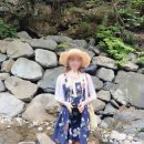 항골계곡야영장 | 강원도 정선 여행 &#39;항골계곡&#39; :: 가장 더운 한여름 무더위에 얼음 괴물 사는 계곡에서 꽁꽁꽁 피서