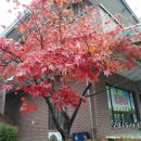 성주군 건강증진센터 이미지