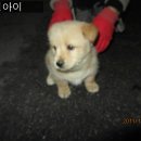 노암세차장 이미지