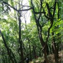 내곡동449 이미지