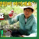 경희동의보감한의원 이미지