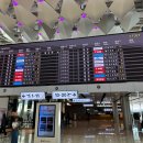 호텔 제이드 | 1 : 에어부산 김포-제주, 공항 휠체어(에어부산) 이용후기, 서귀포 켄싱턴리조트, 제주 무료 휠체어 대여.