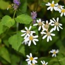 장독민박 이미지