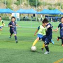 시민운동장 유소년축구장 이미지