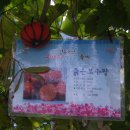 북천시장 이미지