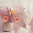 세현성형외과의원 이미지