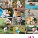 오고가고펜션 이미지