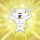 아카이십일 | 단발병은 세계최강?!