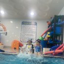 블루마린 이미지