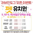 러브애견 이미지