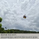 정보카 | [제천여행] 청풍호반케이블카 예약 / 주차 / 할인 정보 총정리 및 탑승후기