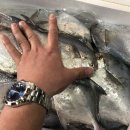 밤바다 2 이미지