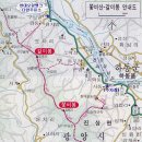 산행을 포기하고 즐긴 광양 매화축제 이미지