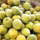 서기농장 이미지