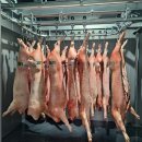 (주)강원도민일보 | [춘천]&#34;엄마푸드&#34;에서 당신의 입맛을 자극하세요!