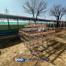 가납초등학교 이미지