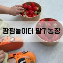 춘기농장 네이버블로그