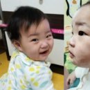 정인 이미지
