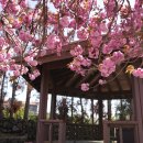 곳티경로당 이미지