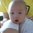 뽑아뽑아 이미지