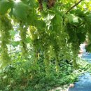 송산농장 이미지