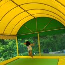 캠핑하는 집 이미지