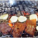 제주돈갈매기