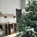 커피랑도서관 강릉교동점 | 강릉 교동택지 신상 카페 커피아워 – 케이크 맛집 발견!