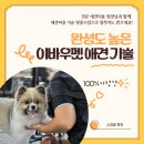 ［롱런］펫패션 창업과정 | 애견미용자격증 준비방법 후기