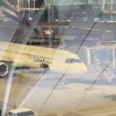 신성목장 | 베트남 나트랑 여행기 1탄, 판랑 선라이즈 사막 투어(포롱자이 사원, 양떼 목장)