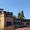 SK오렌지약국 | 5박7일 혼자여행 후기 및 5일차 자유여행 일정/치킨...추천/아르밋커피/오렌지커피/마야몰기념품/우유...