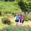 에덴골프 이미지