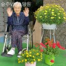 송추VIP요양원 | 쾌적하고 시설좋은 송추VIP요양원 위치정보