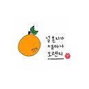 기분좋은커피