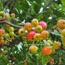 문숙농장 이미지