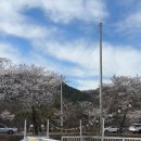 포레스트 경주(Forest 경주) 이미지