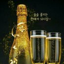 드시오 Daum카페