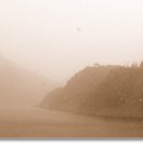 팔각정상회 이미지