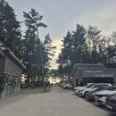 장항오토캠핑장 이미지