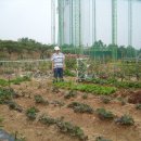 김순영 농장 이미지