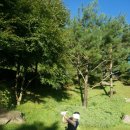 소노펠리체 Par3 이미지