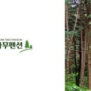 소금강행복펜션 이미지