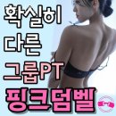 핑크덤벨 이미지