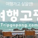 운남카 서비스 네이버블로그