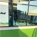 옐레드 애견유치원 & 애견호텔 대전노은점 이미지