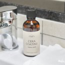 반짝이는 그루밍 하우스 이미지