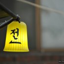 배꽃주리 이미지