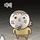 다오동물병원 | 대전 24시간 동물병원 후기