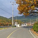 월운마을회관 Daum카페
